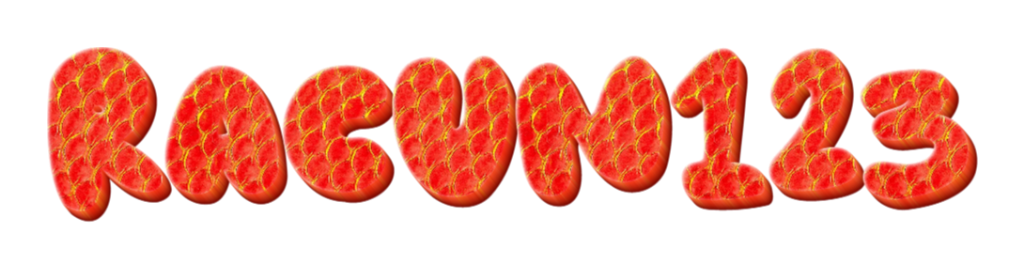 RACUN123         Logo